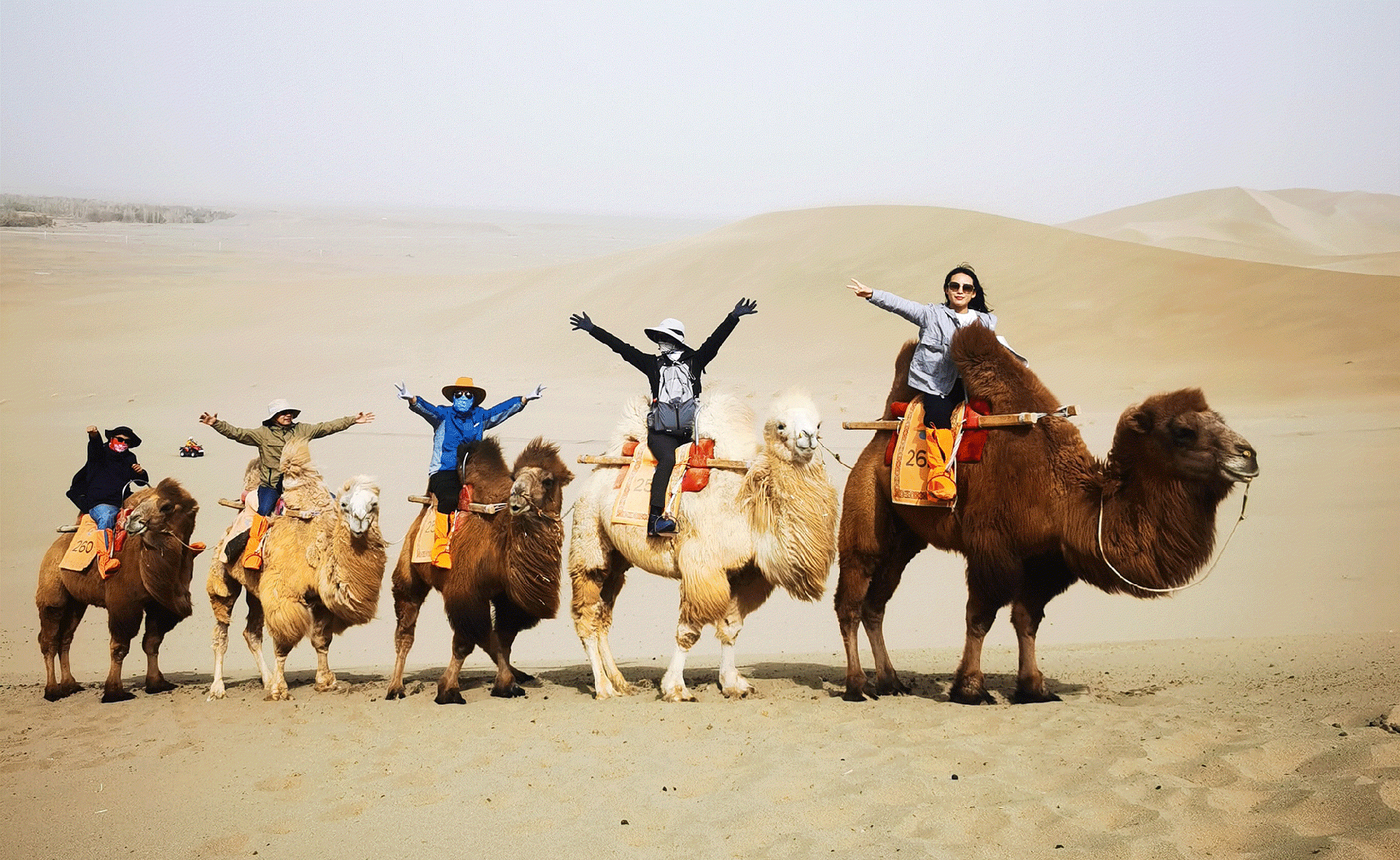 1617842788818349.gif 參觀.gif